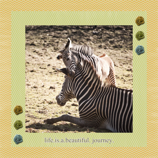 Life is a beautiful Journey