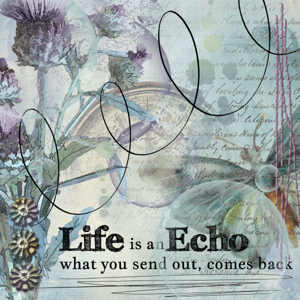 Life is an Echo