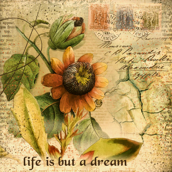 Life is But a Dream