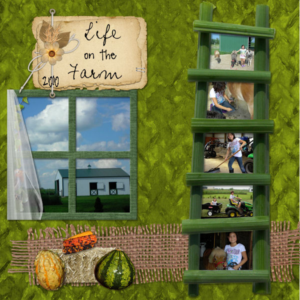 Life on the Farm