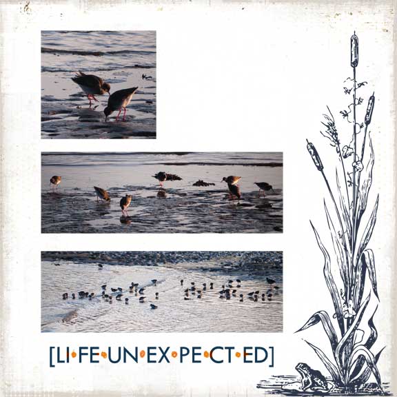 Life - Unexpected