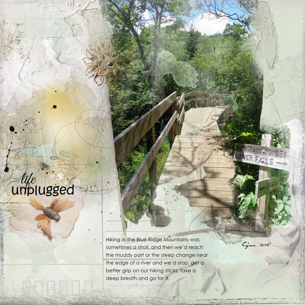 Life Unplugged - Anna Lift