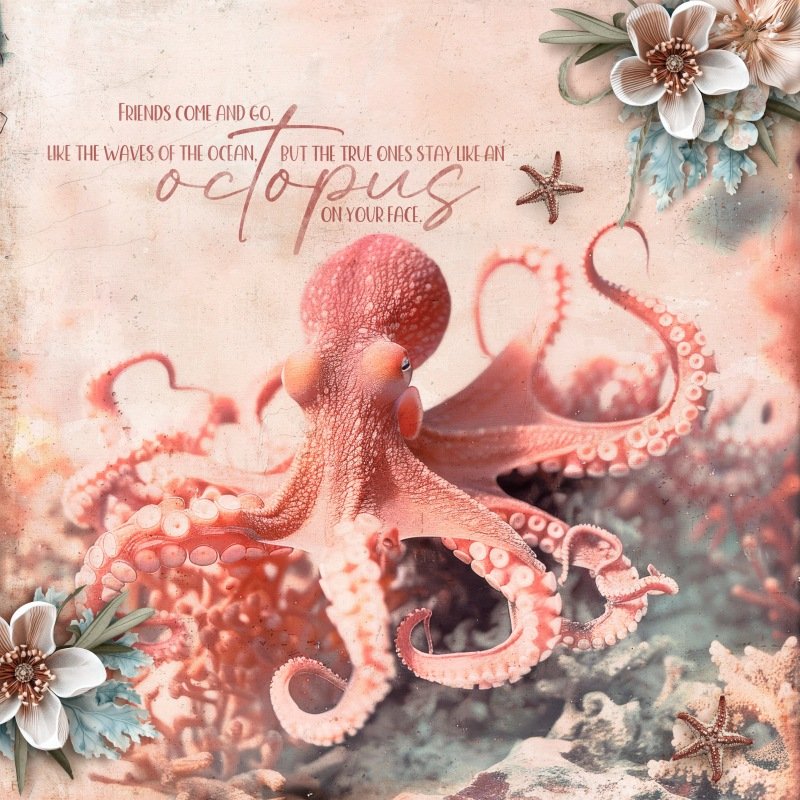 Like an Octopus