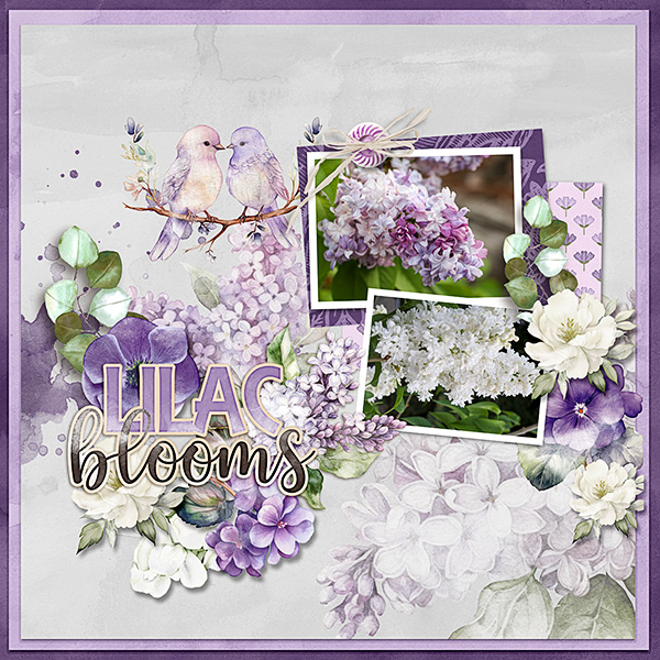 Lilacs.jpg