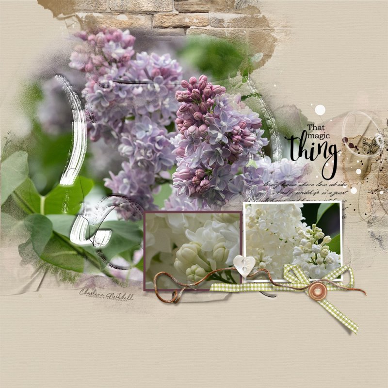 Lilacs