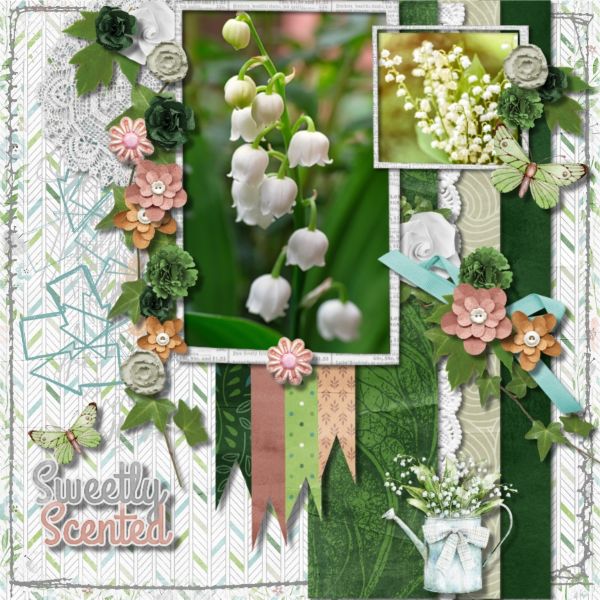 Lily of the Valley