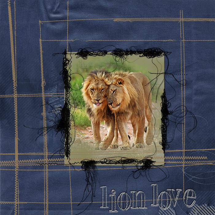 Lion love