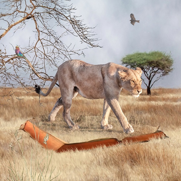 Lioness on Book.jpg