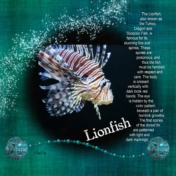 Lionfish