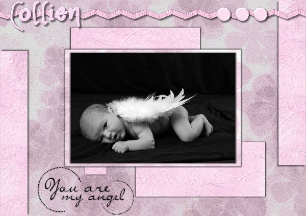 Little Angel Collien