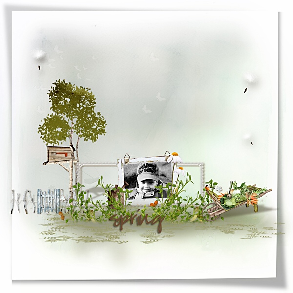 little garden