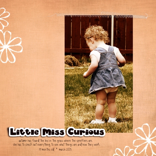 Little Miss Curious