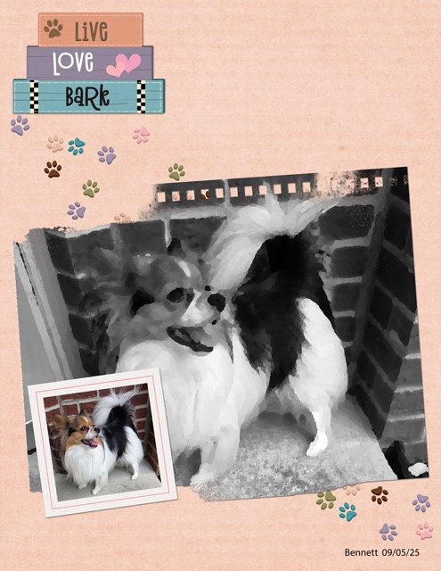 Live,-Love,-Bark.jpg