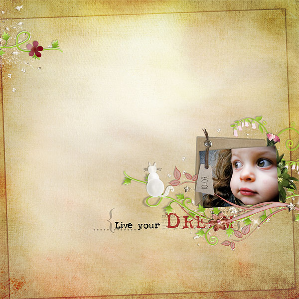 live your dream