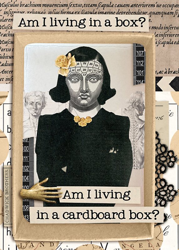 living in a cardboard box