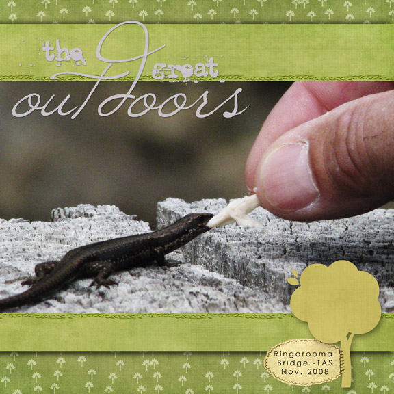 Lizard Feeding