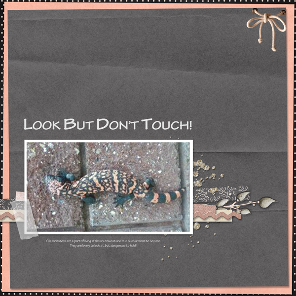 Look But Don't Touch