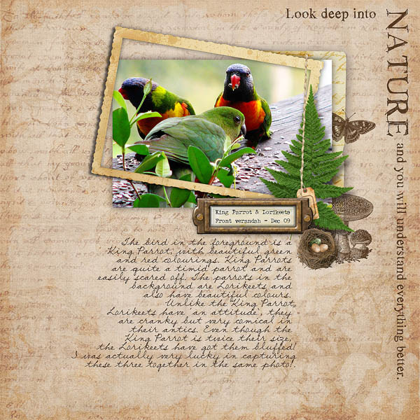 Look Deep Into Nature