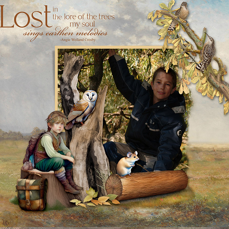 Lost in the lore of trees