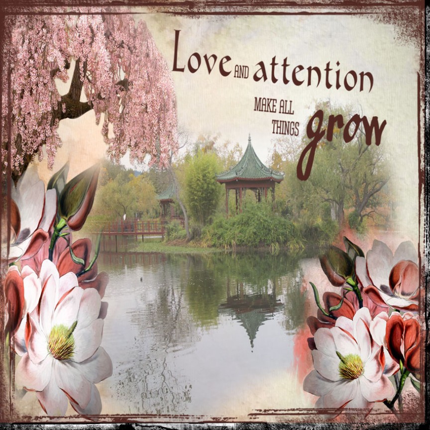 Love and Attention