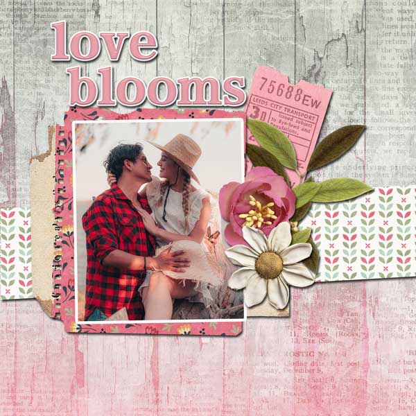 love-blooms-carol-w.jpg