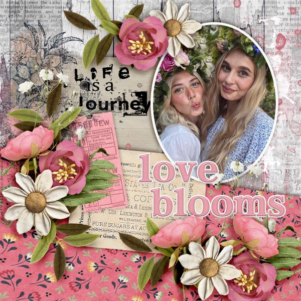 Love-blooms.jpg