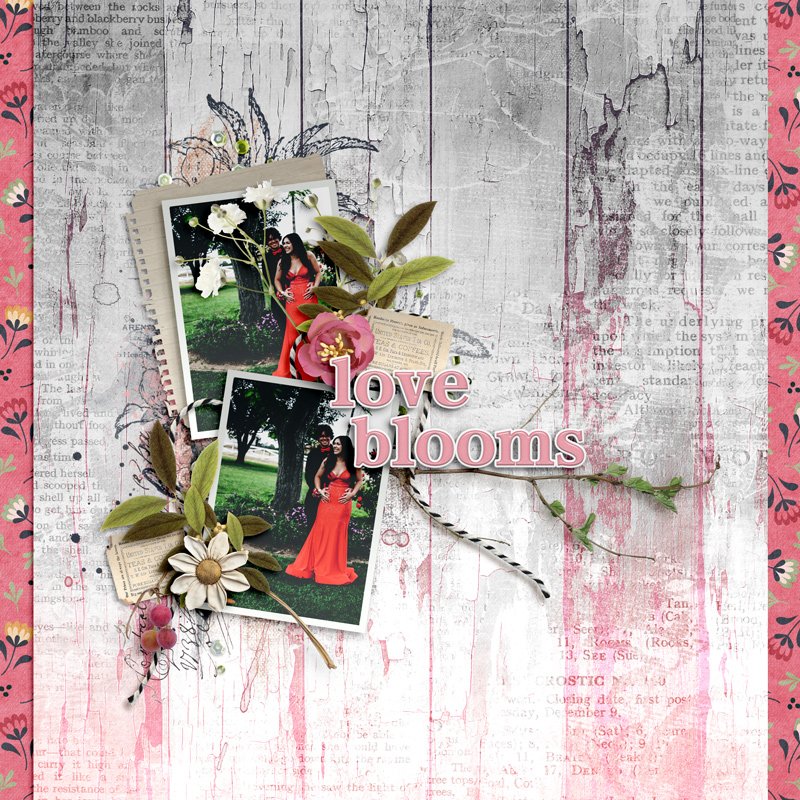 Love Blooms