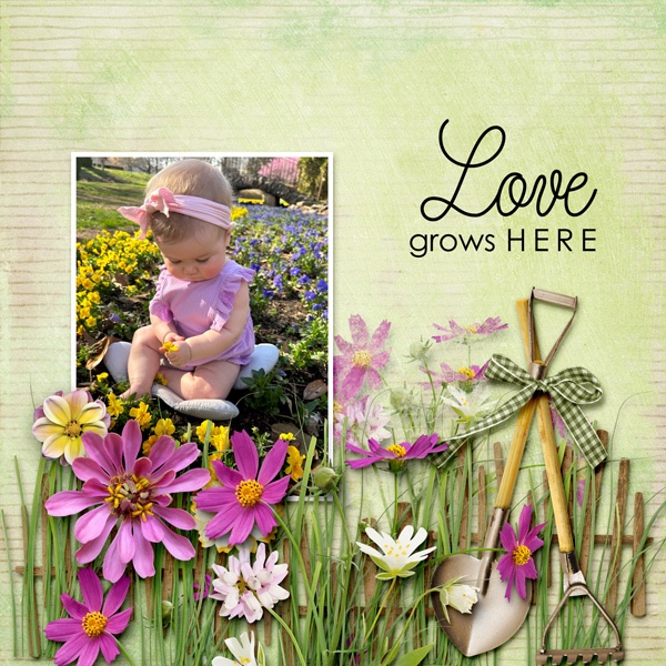 Love Grows Here