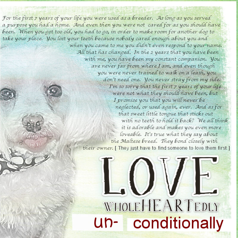 Love Louie