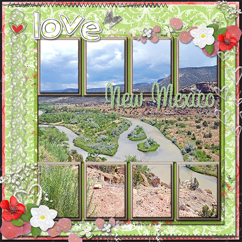 Love New Mexico