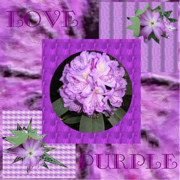 Love Purple