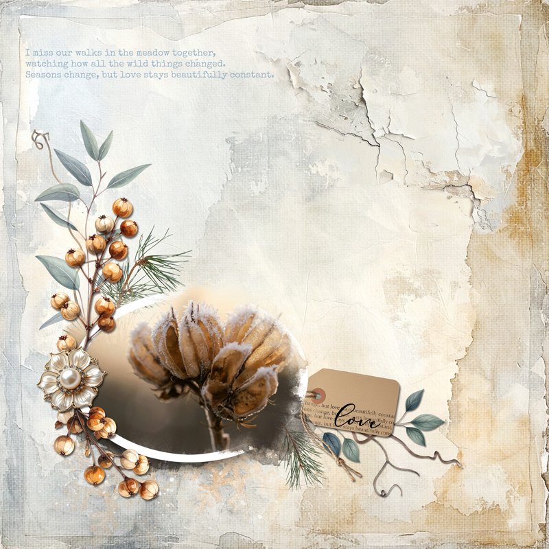 Love Stays Beautifully Constant