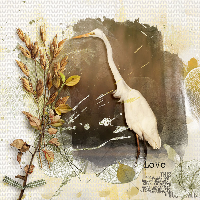 Love