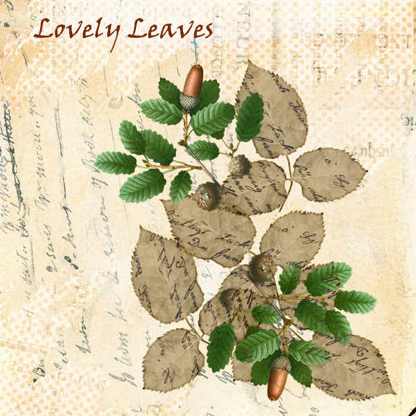 Lovely Leaves