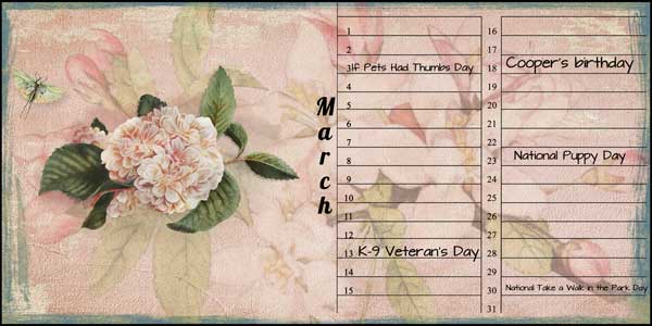 Lynne-Anzec march calendar challenge