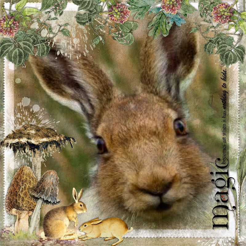 Lynne_Endless_Wonders2