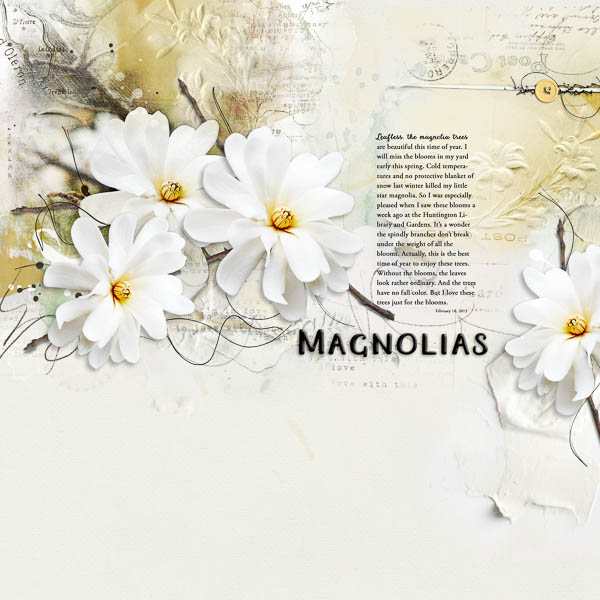 Magnolias