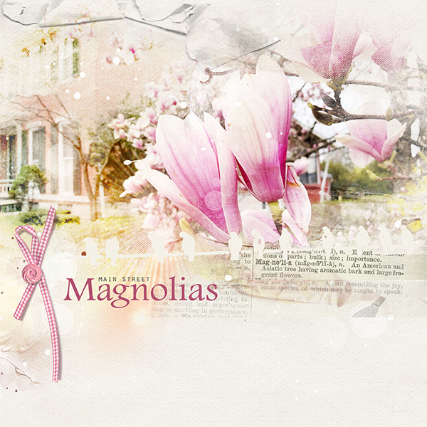 Magnolias