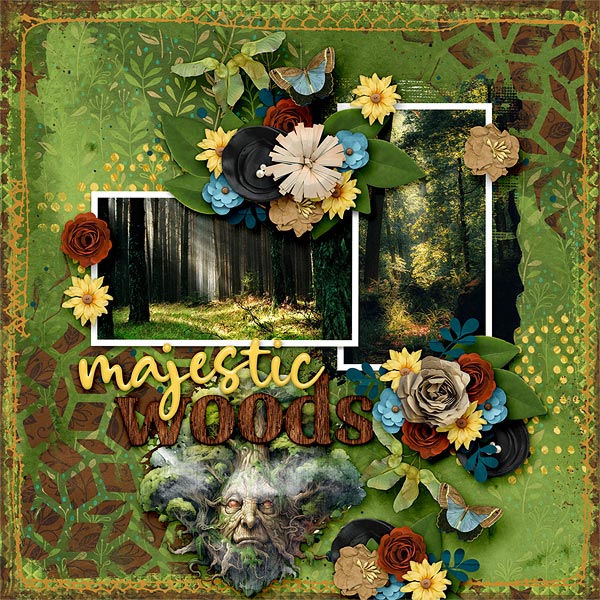 Majestic Woods