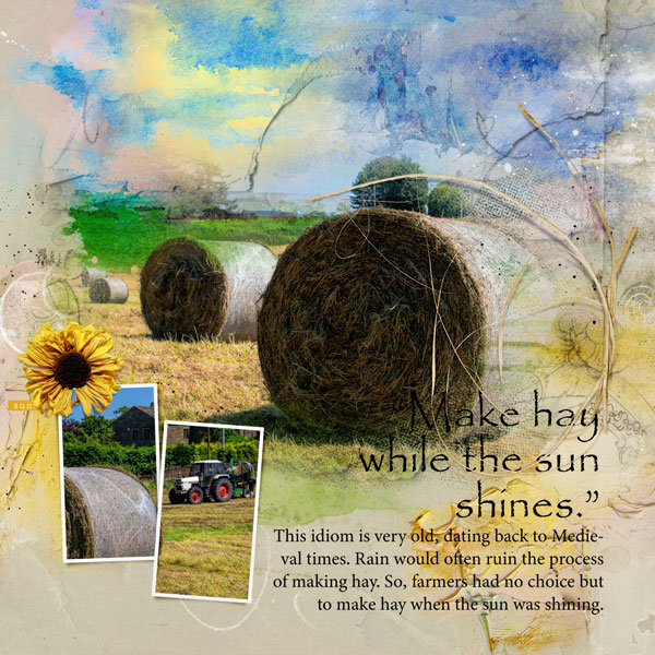 Make Hay while the sunshines.  AnnaColor