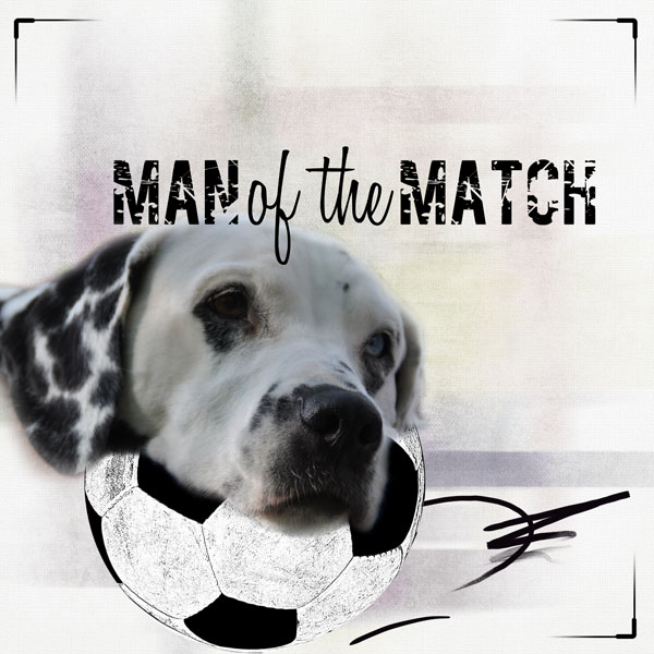 man (dog)of the match