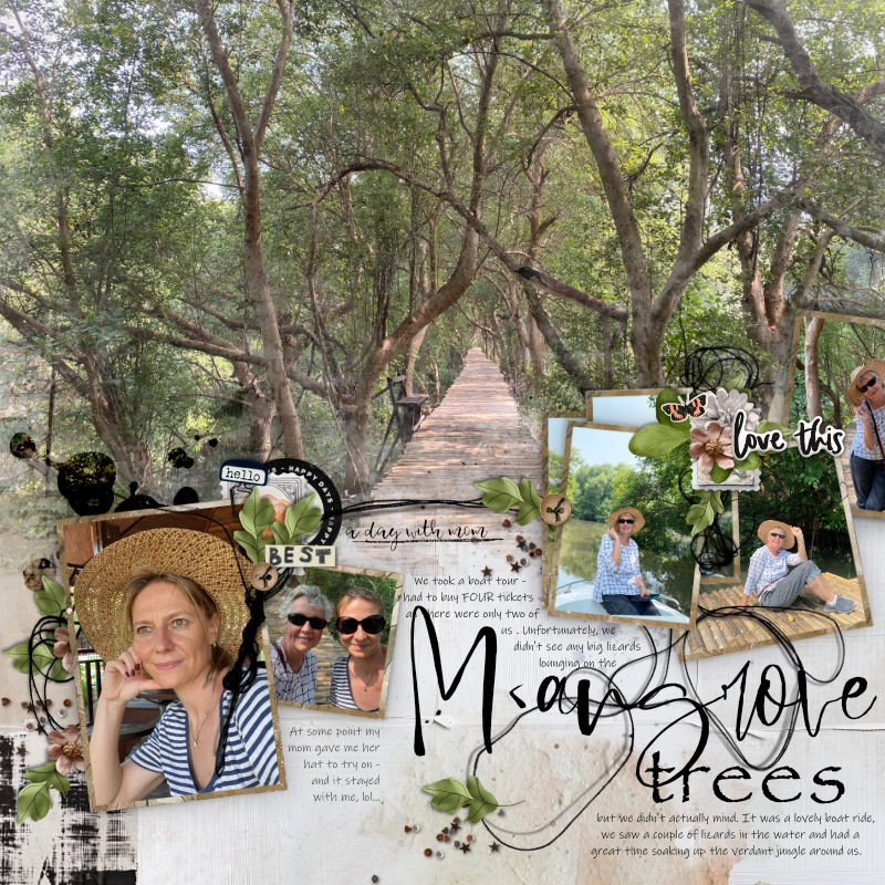 Mangroves left