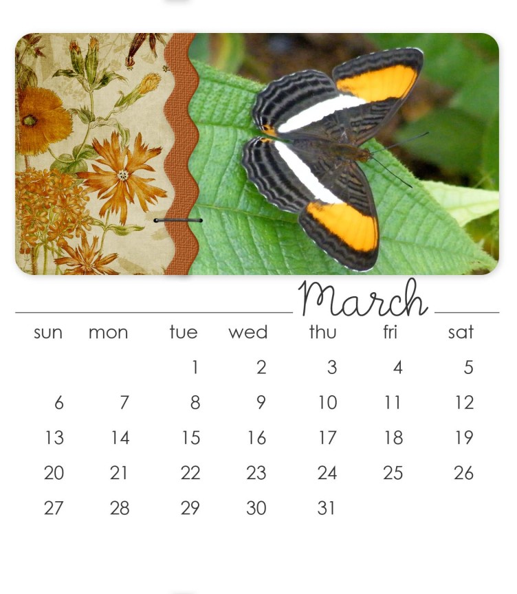 March 2011 CD Calendar