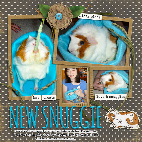 Marshmallow the Guinea Pig and her new snuggli 2013