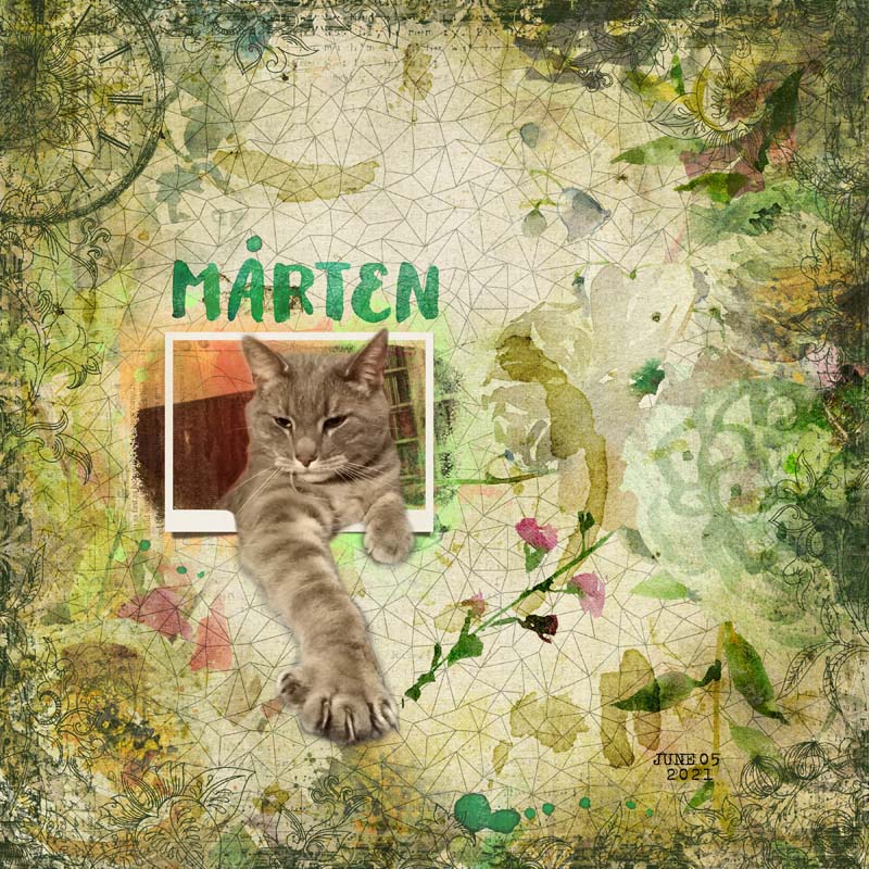 Marten OOB