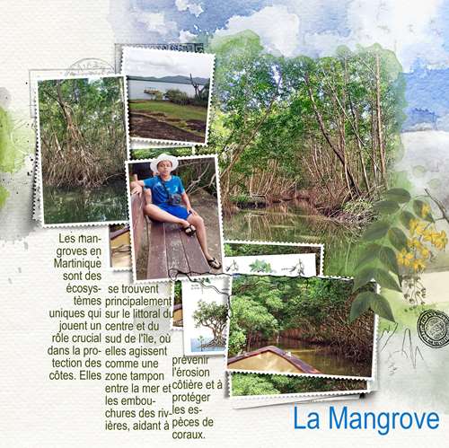Martinique3