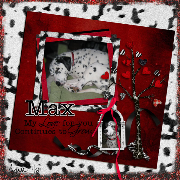 Max: My Love for You