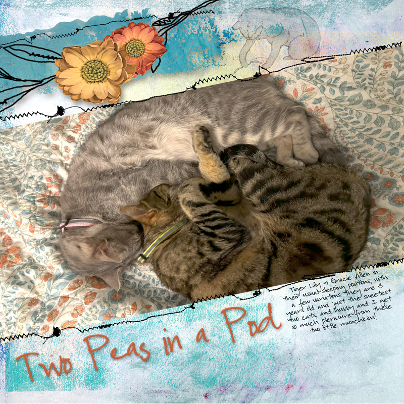 May 2024-chall#7-Tem by Timounette_2 peas in a pod