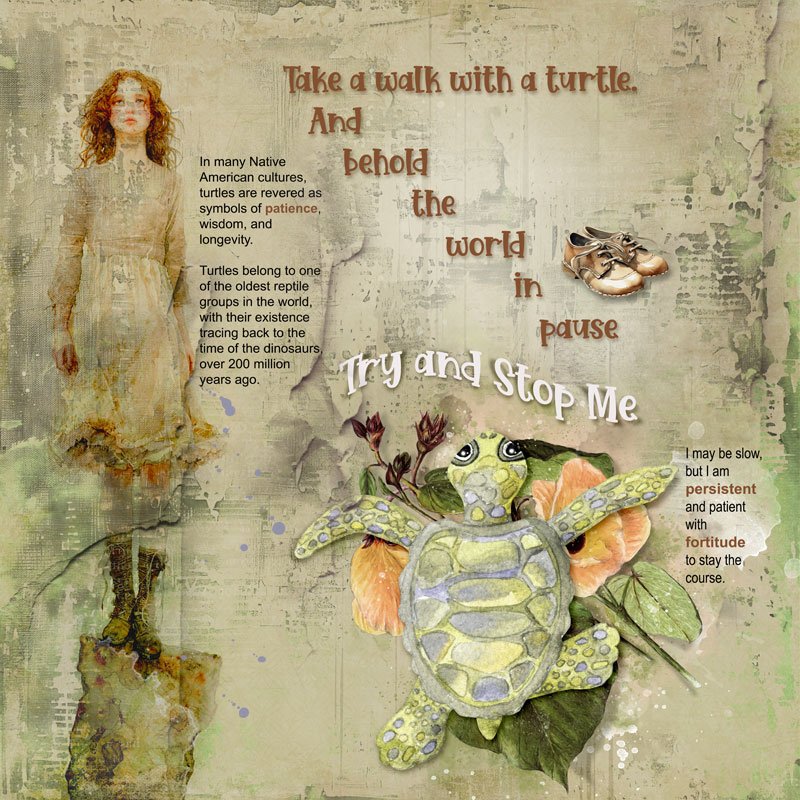 MAY-2025-AJ-WEEK-2-CHAL_FORTITUDE_TRY-AND-STOP-ME