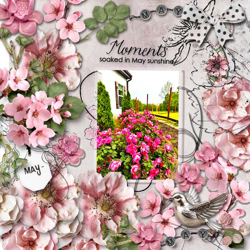 May Blossoms